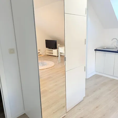 3 Bedrooms, 2 Studios, 1 Apartment, Independent