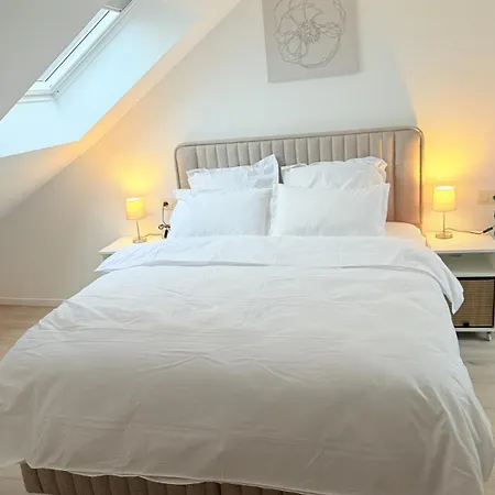 3 Bedrooms, 2 Studios, 1 Apartment, Independent Charleroi
