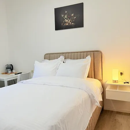 3 Bedrooms, 2 Studios, 1 Apartment, Independent